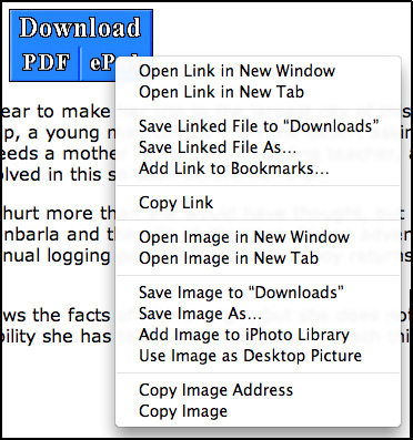 Screen shot of ePub right click menu in Safari