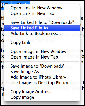 Screen shot of PDF download right click in Safari
