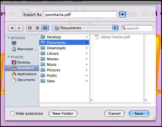 Screen shot of PDF download 'save as' in Safari
